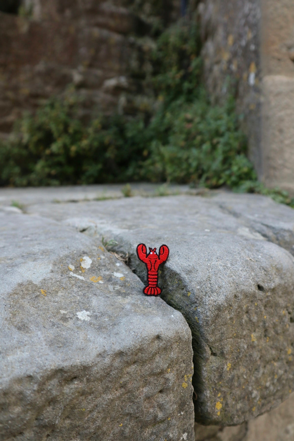 a red lobster pin sitting on top of a rock