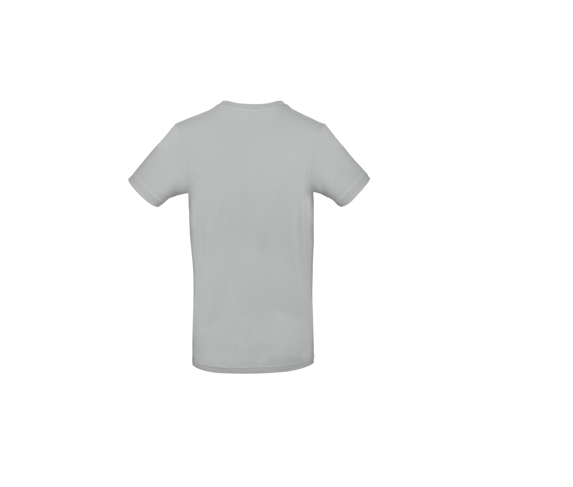 PACIFIC GREY - arrière