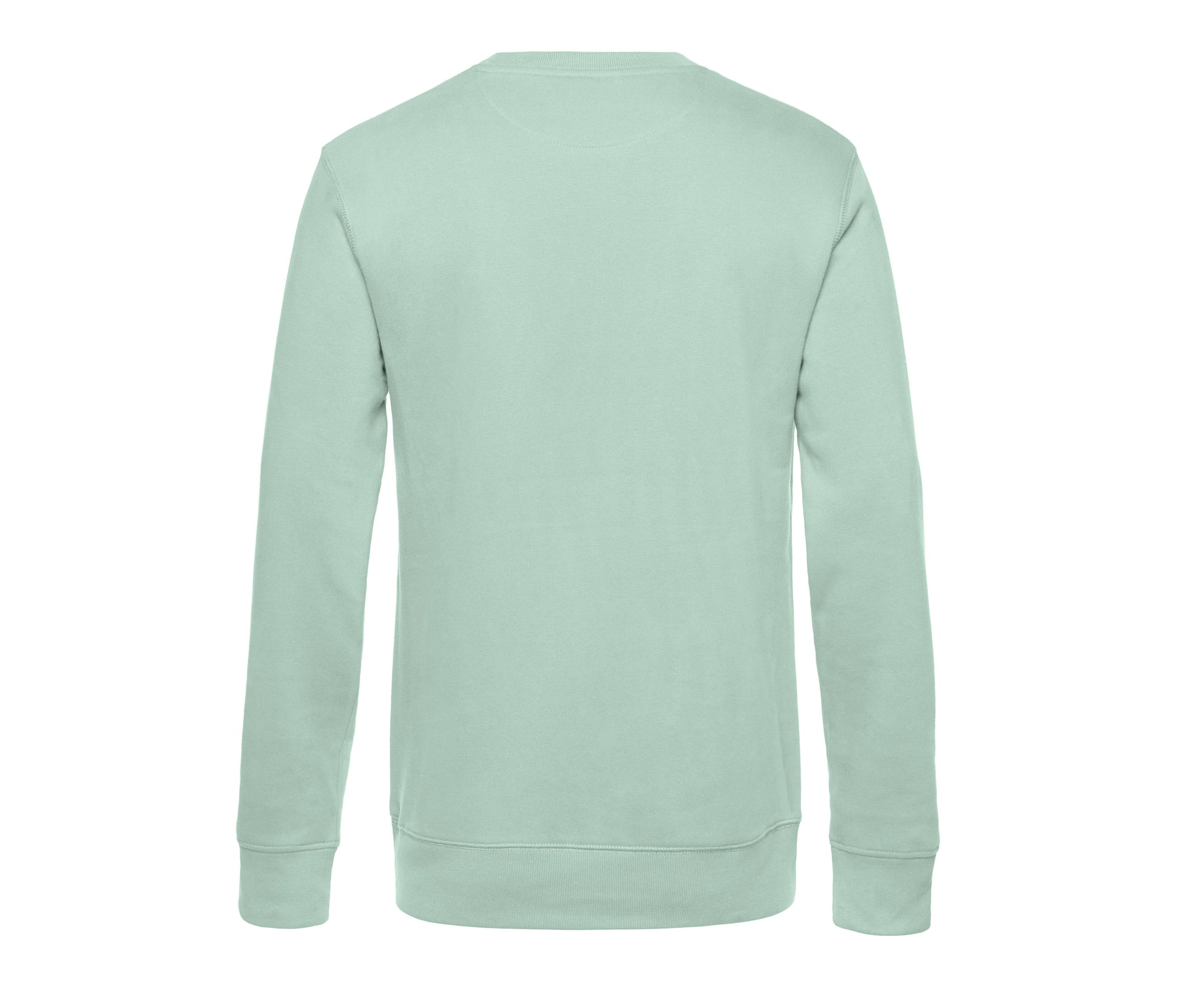 AQUA GREEN - arrière