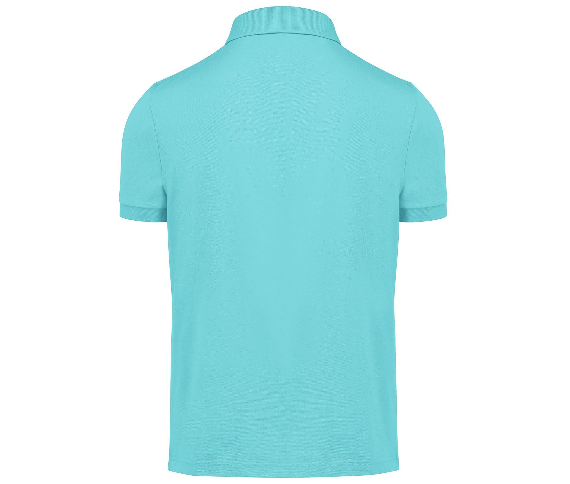 META TURQUOISE - arrière