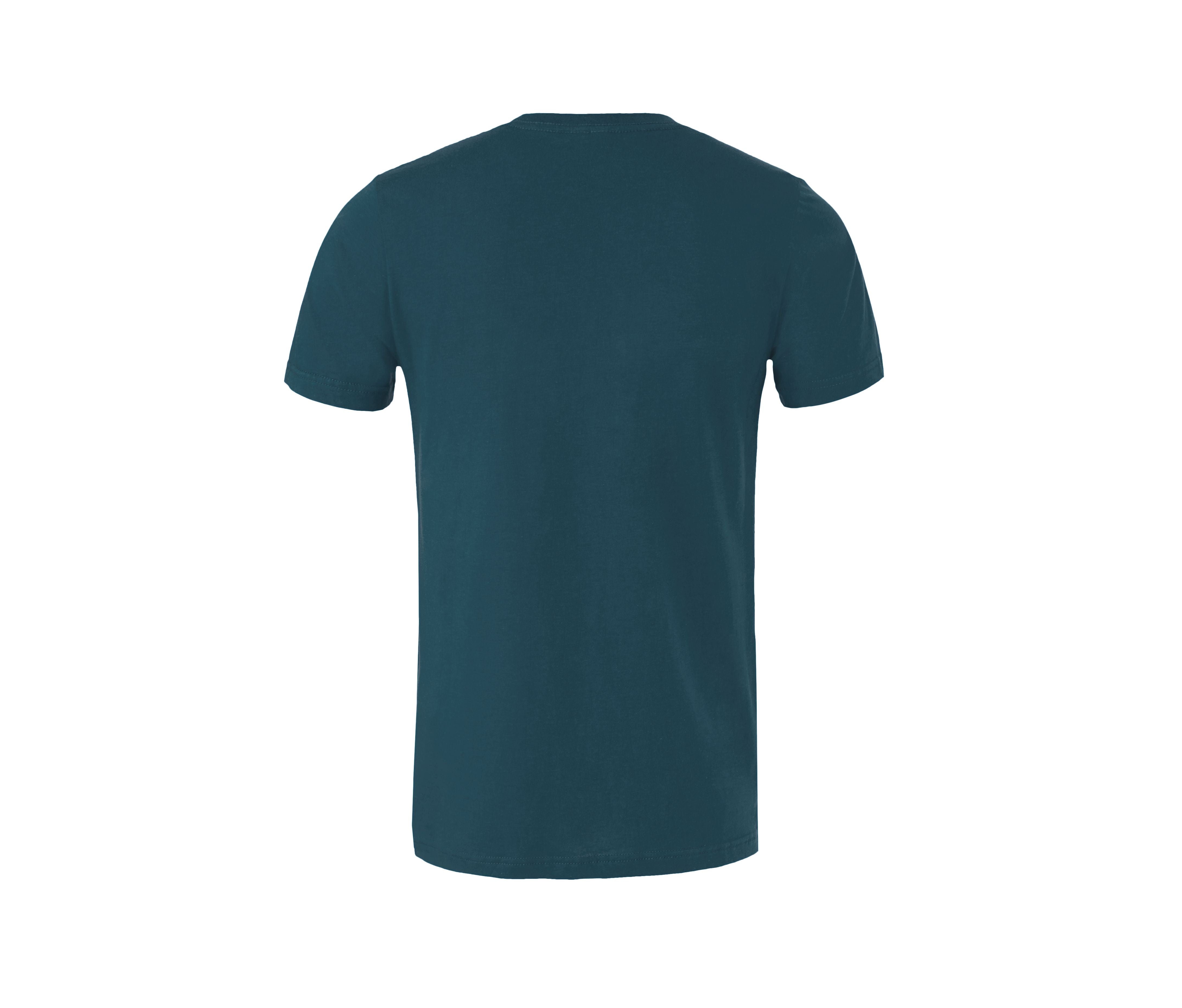 DEEP TEAL - arrière