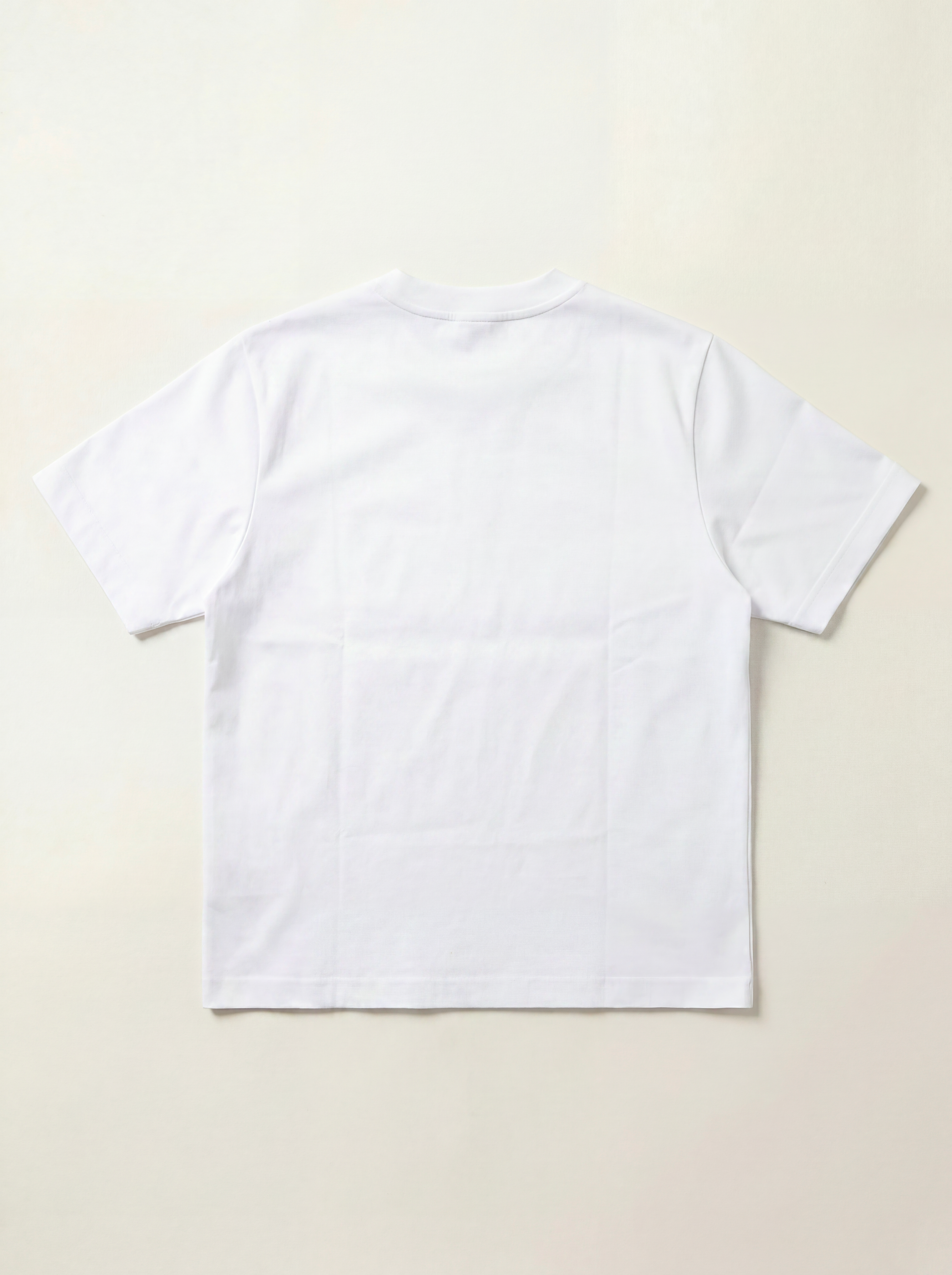 T-Shirt CORE 230GSM - RWRKD Blanks