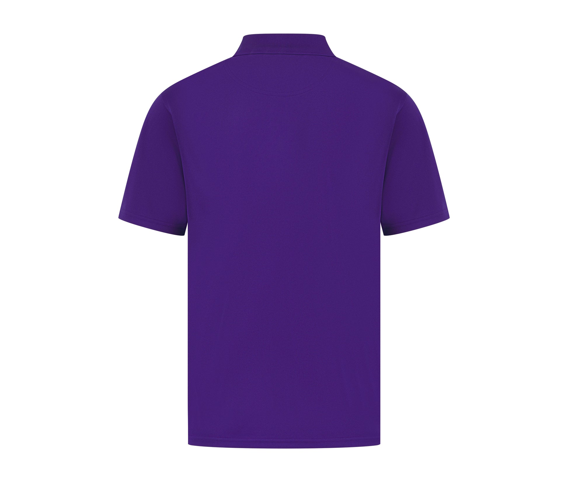 BRIGHT PURPLE - arrière