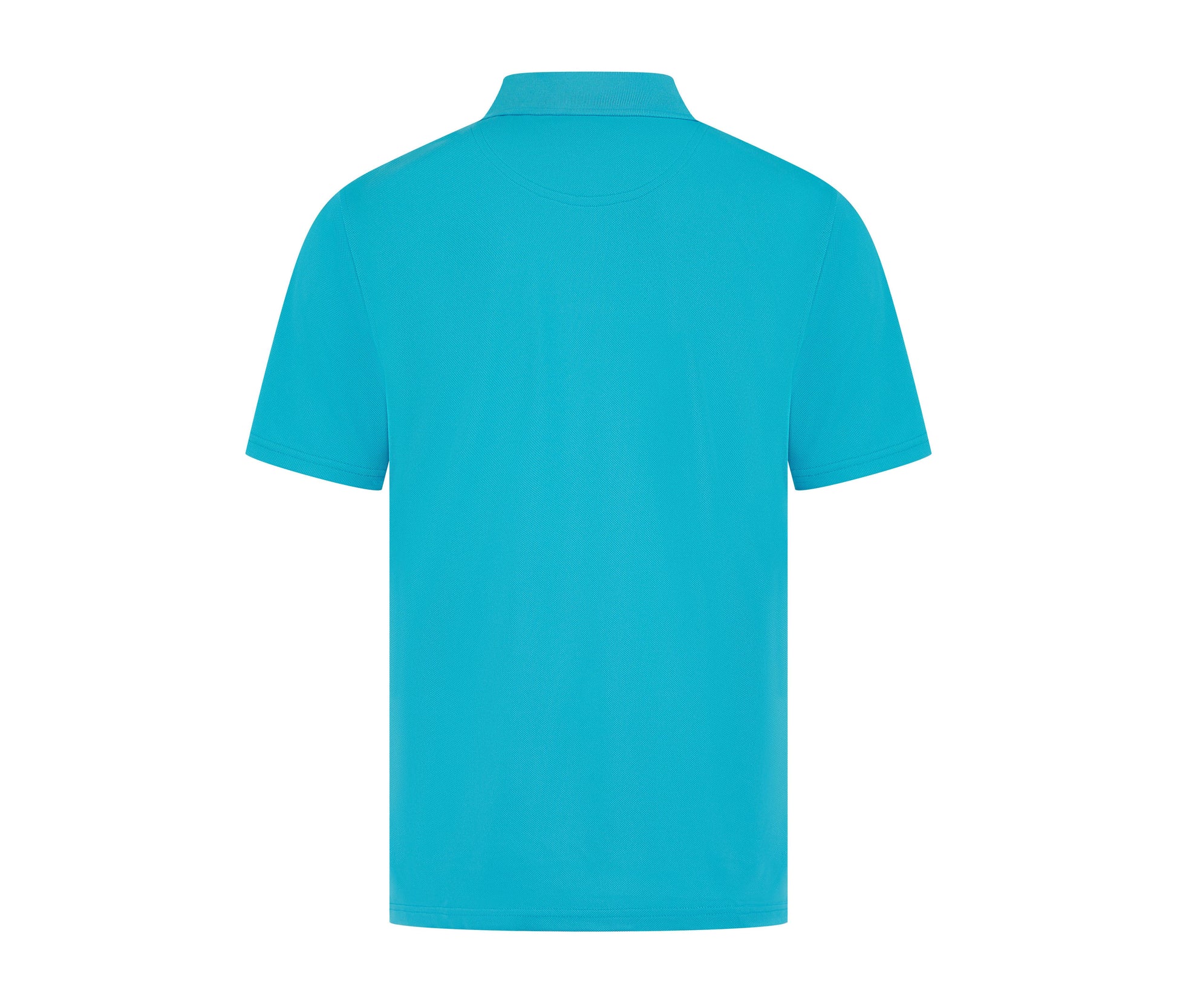 TURQUOISE - arrière