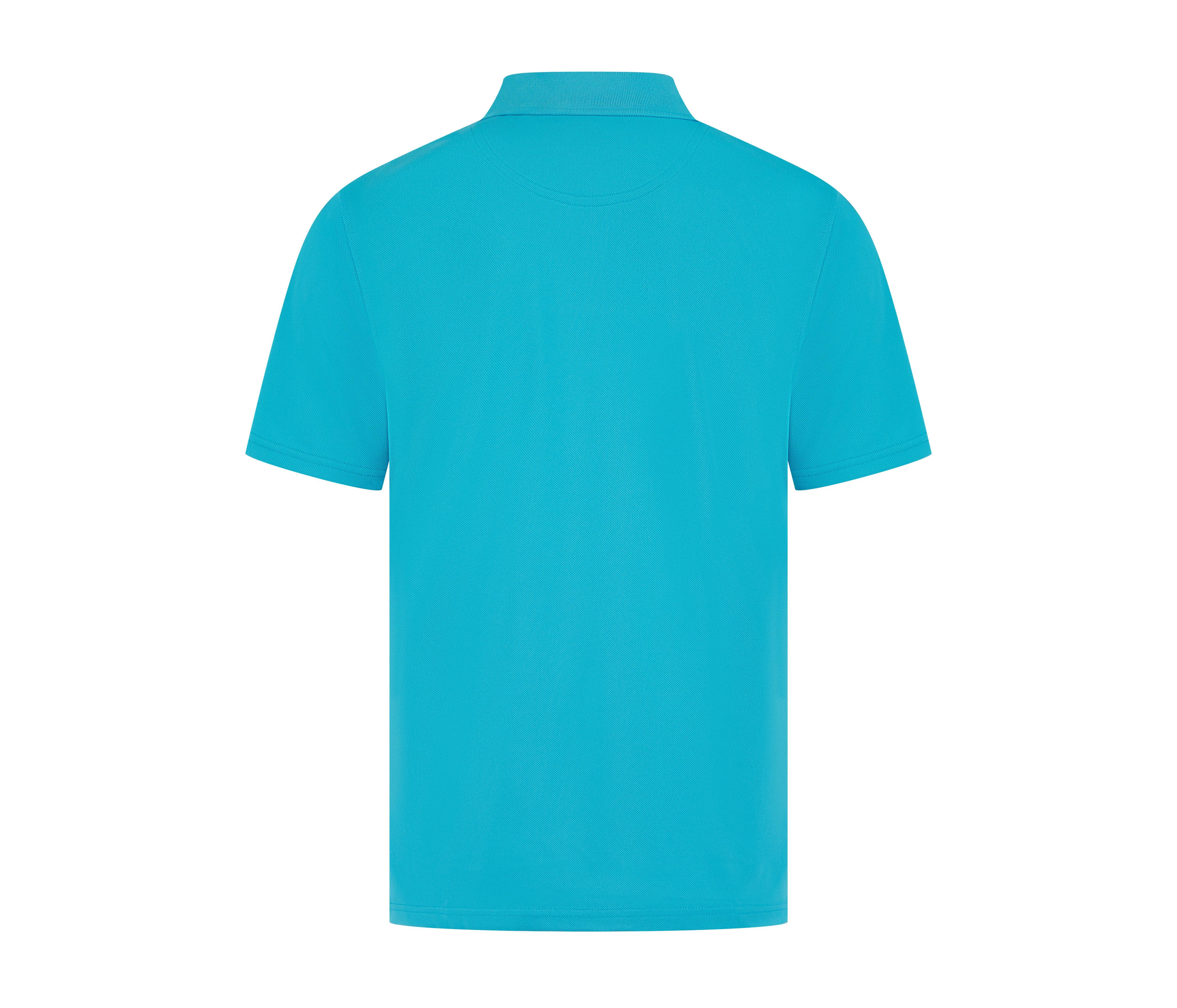 TURQUOISE - arrière