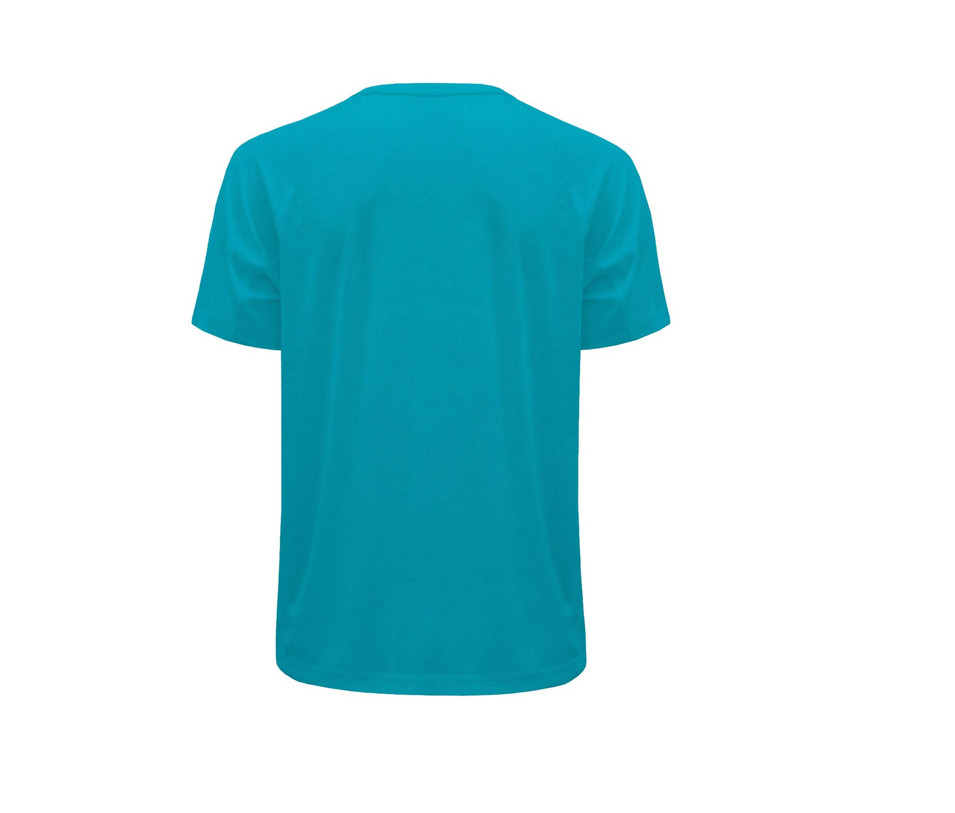 TURQUOISE - arrière