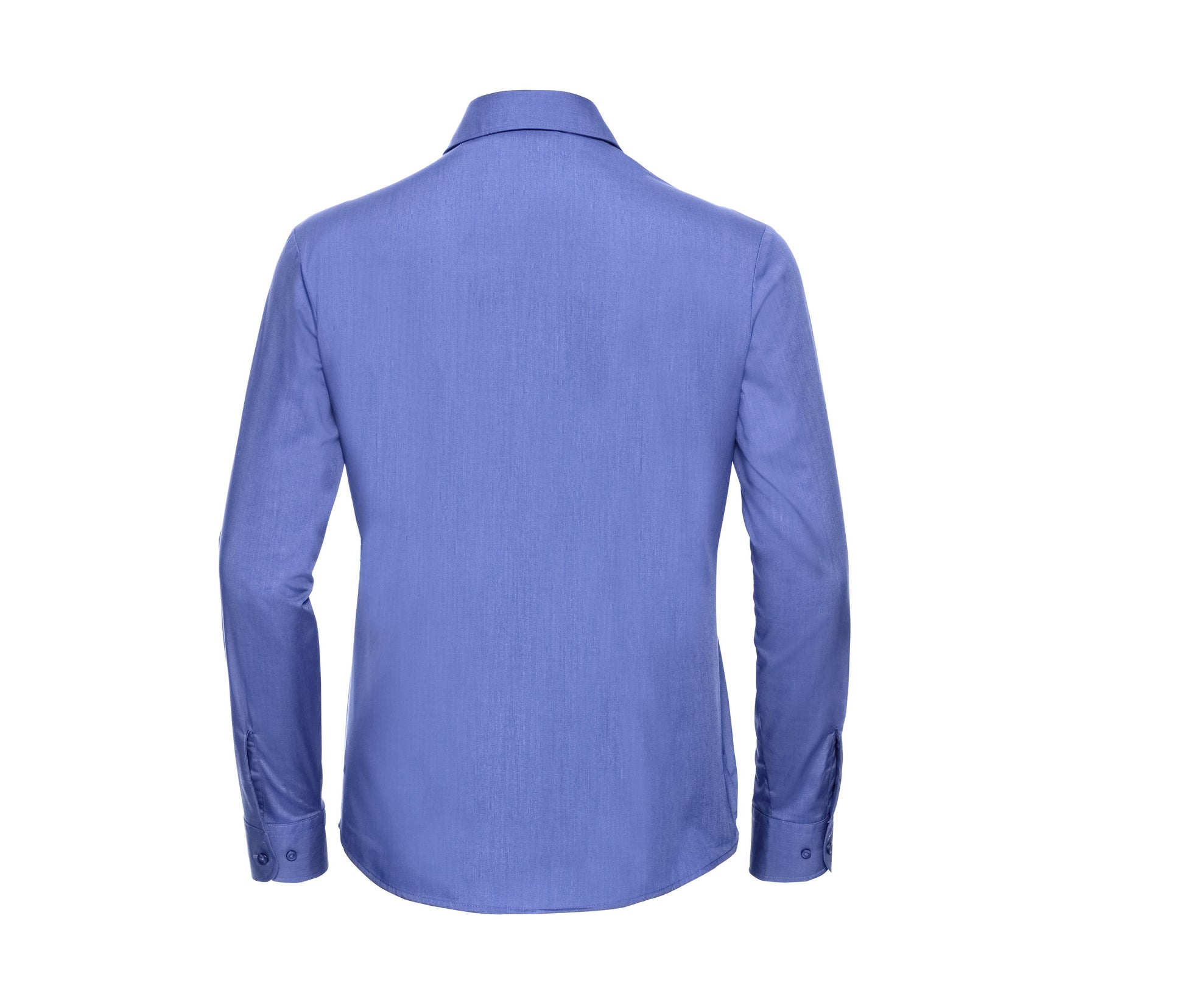 CORPORATE BLUE - arrière