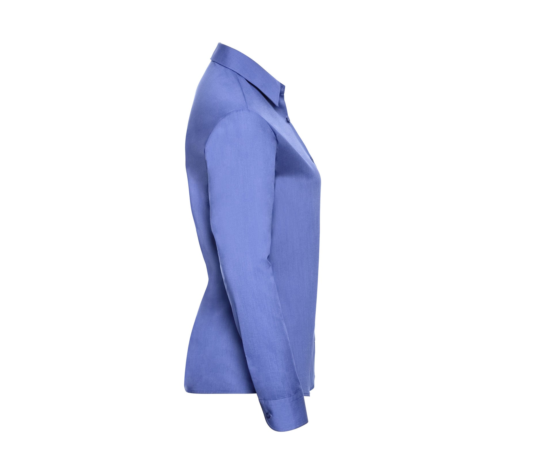 CORPORATE BLUE