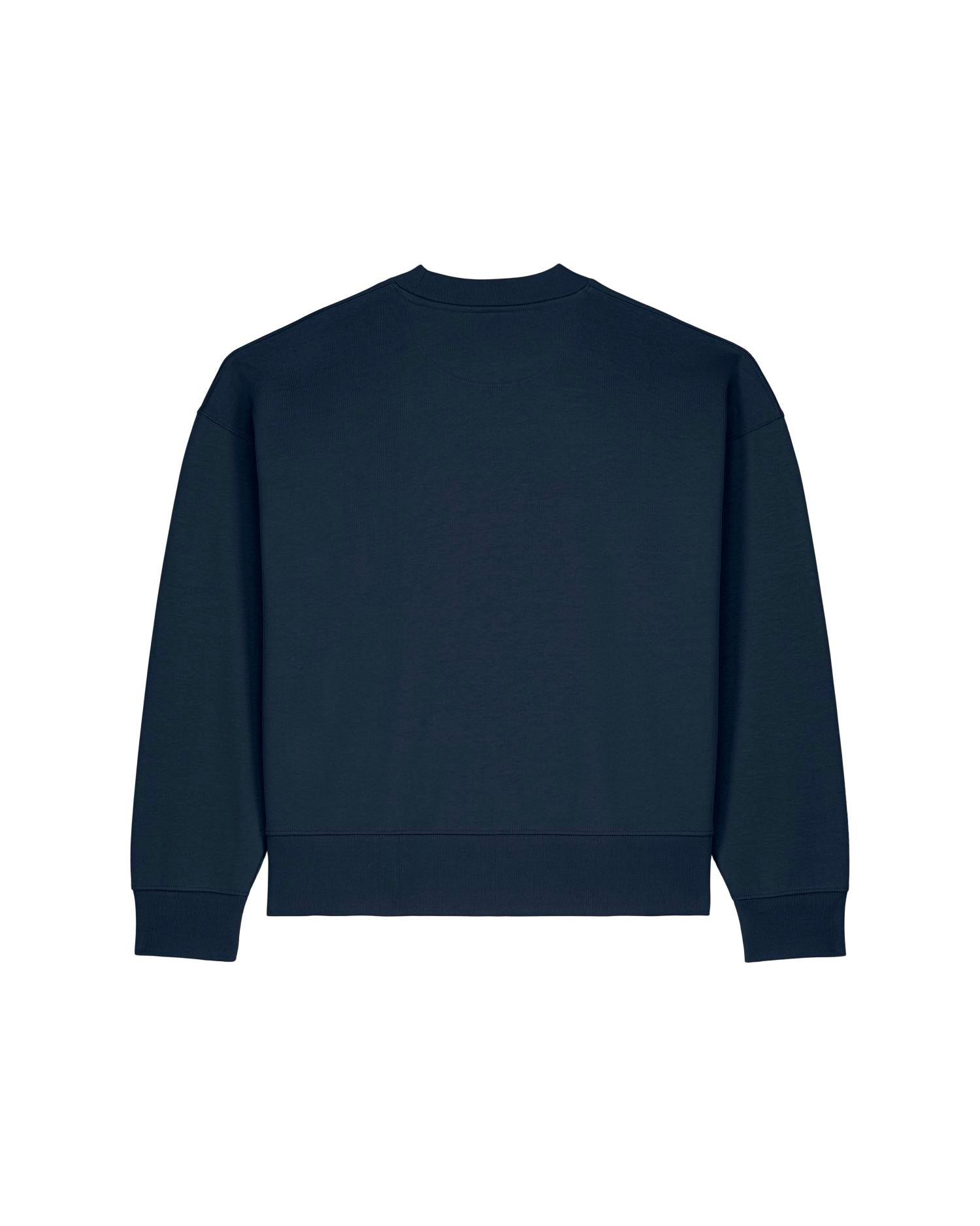 French Navy