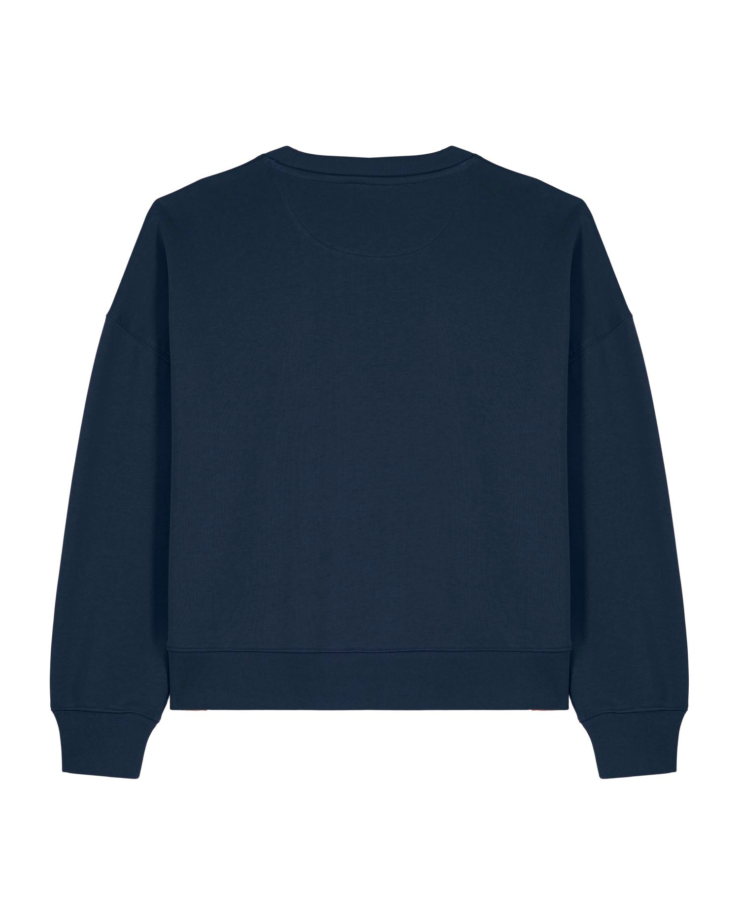 French Navy