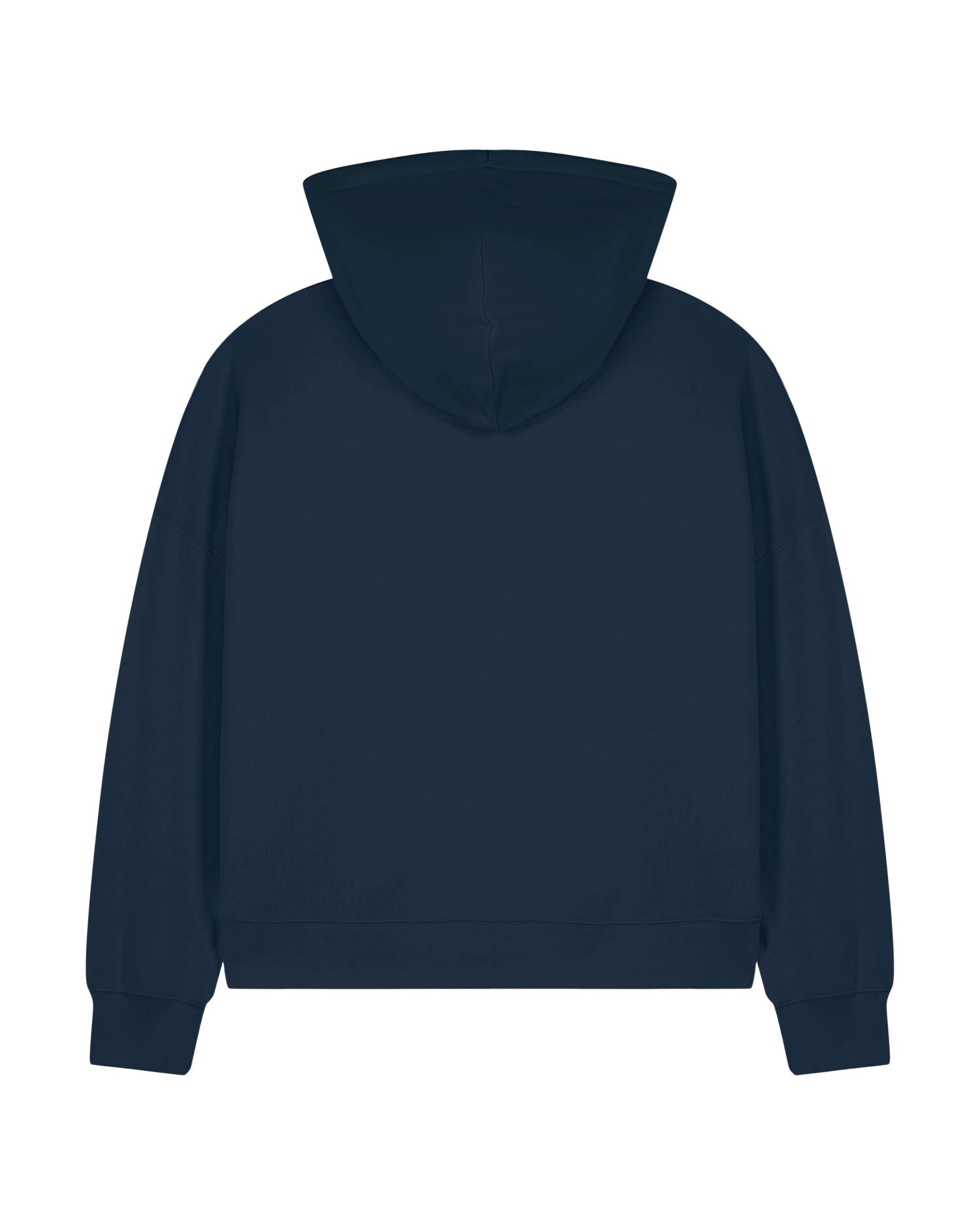 French Navy