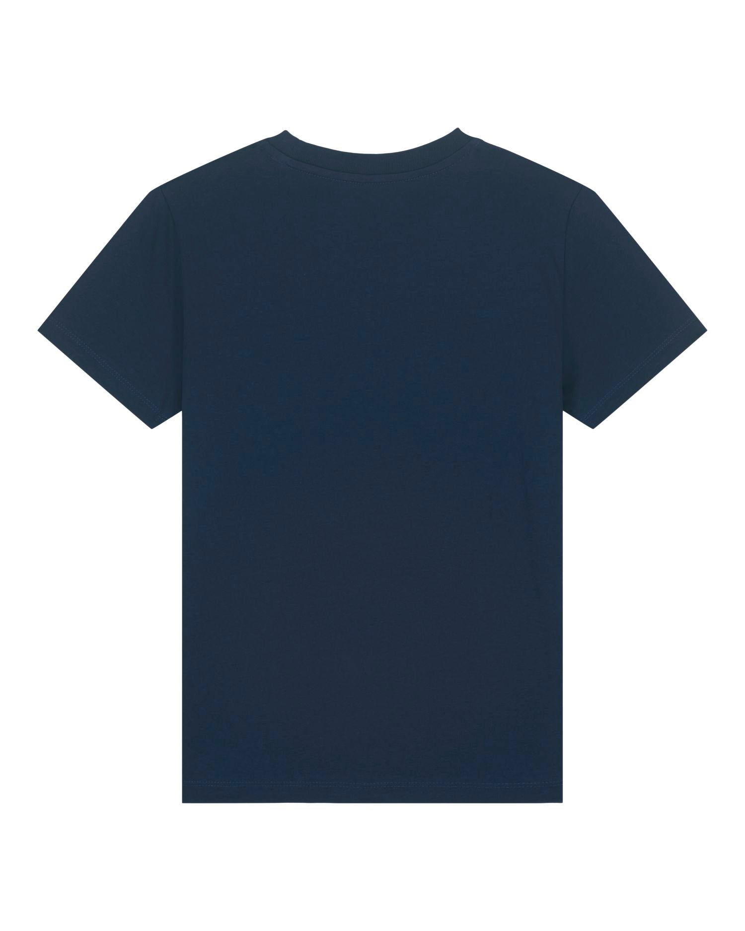 French Navy