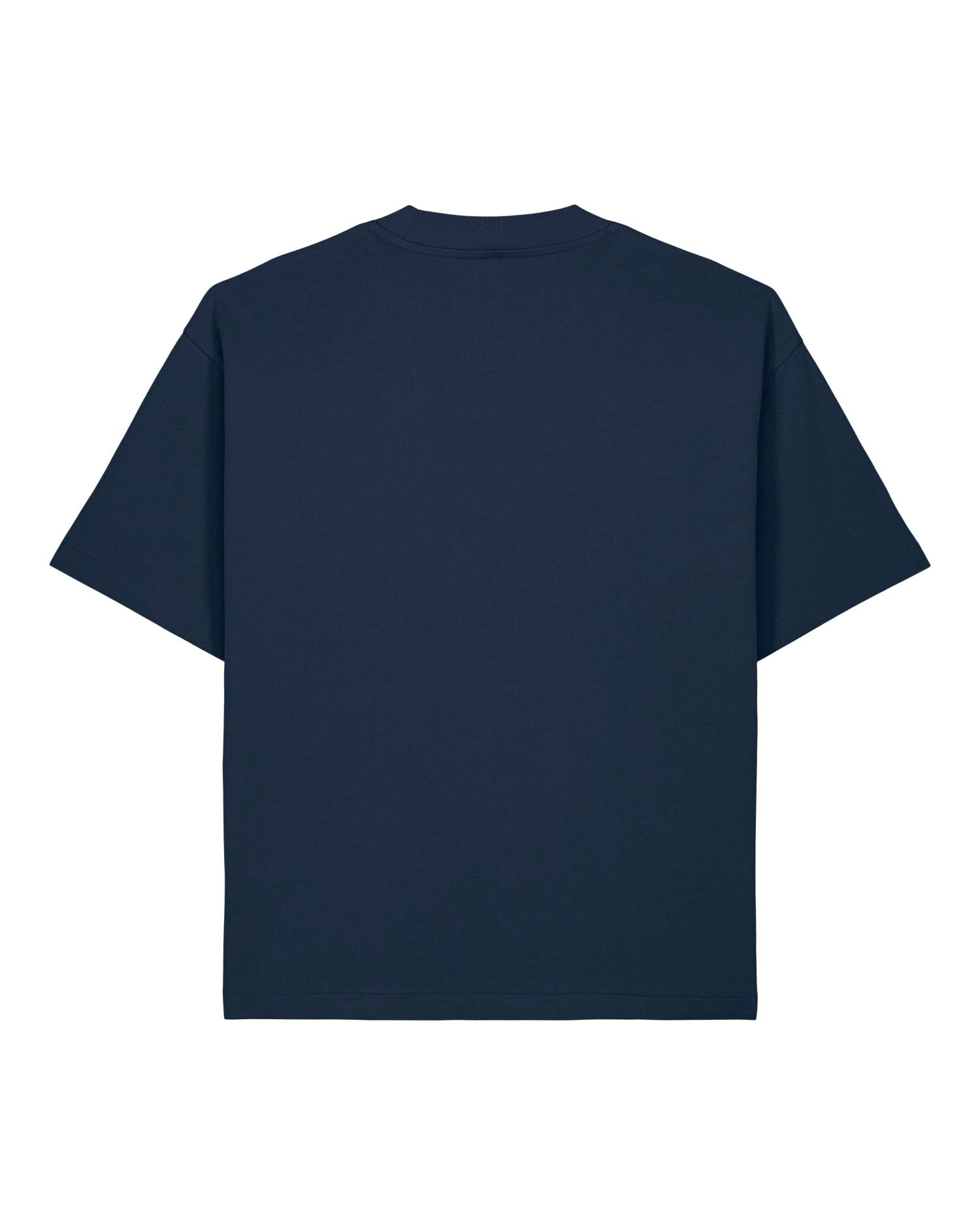 French Navy