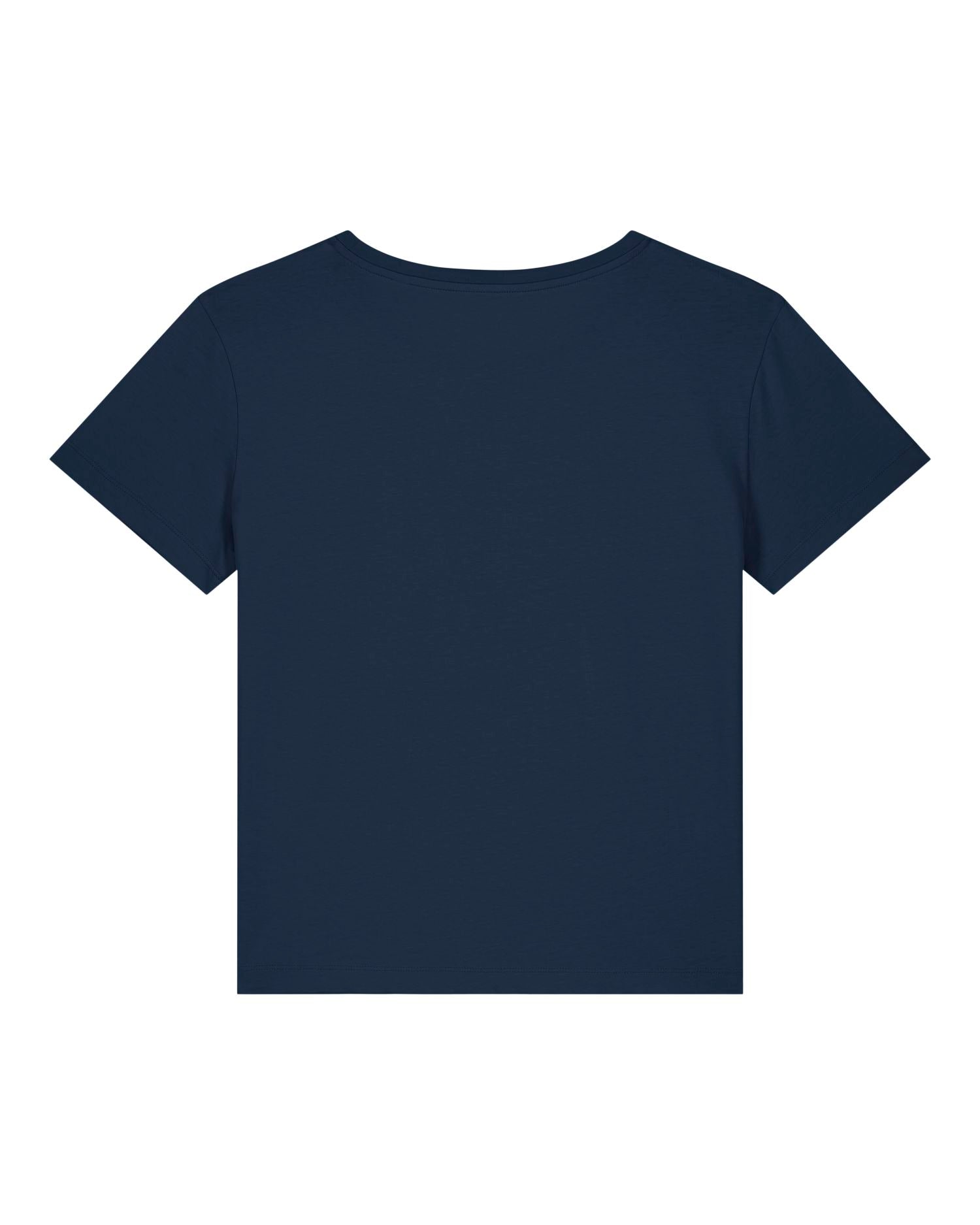 French Navy