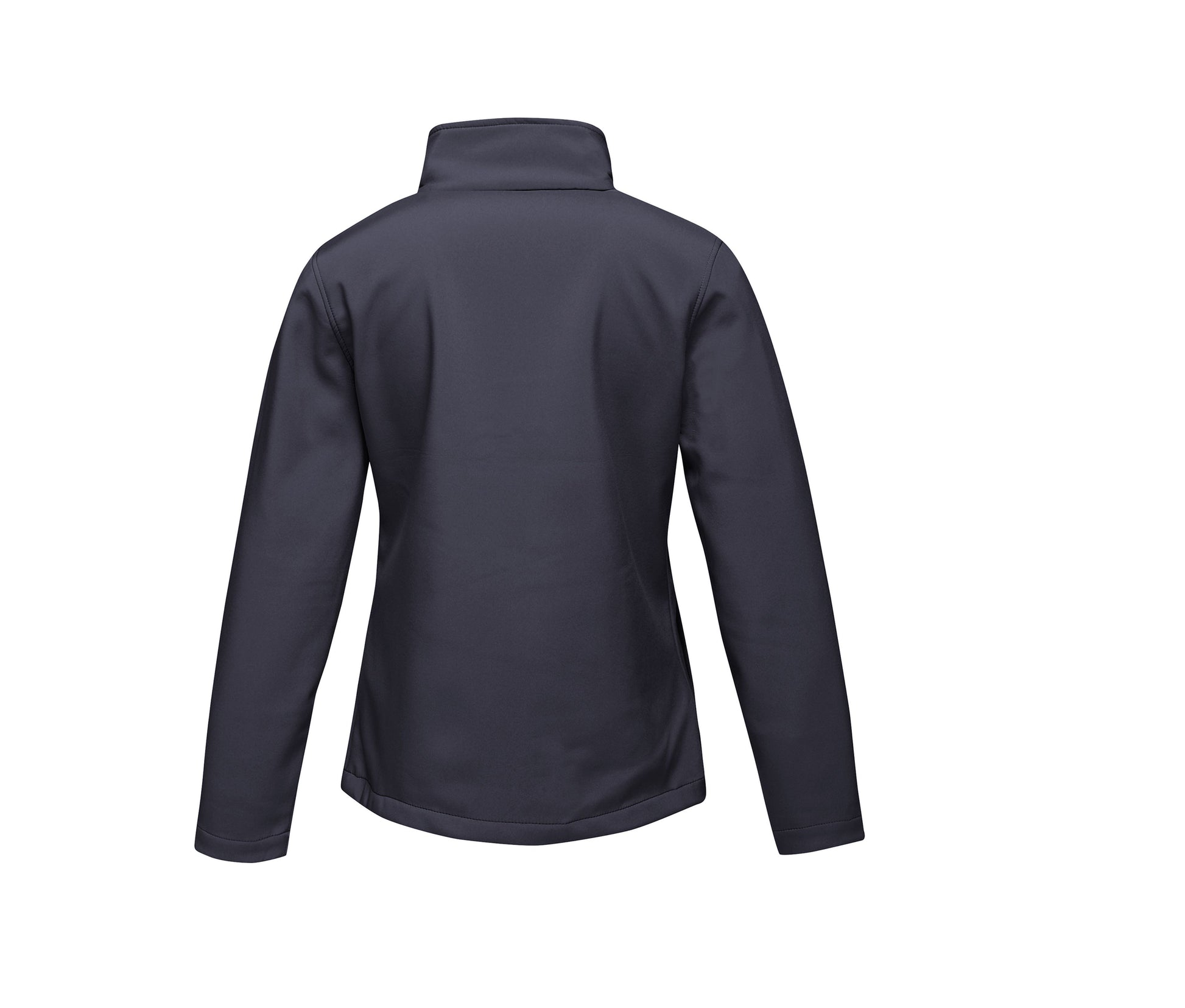 NAVY/FRENCH BLUE - arrière