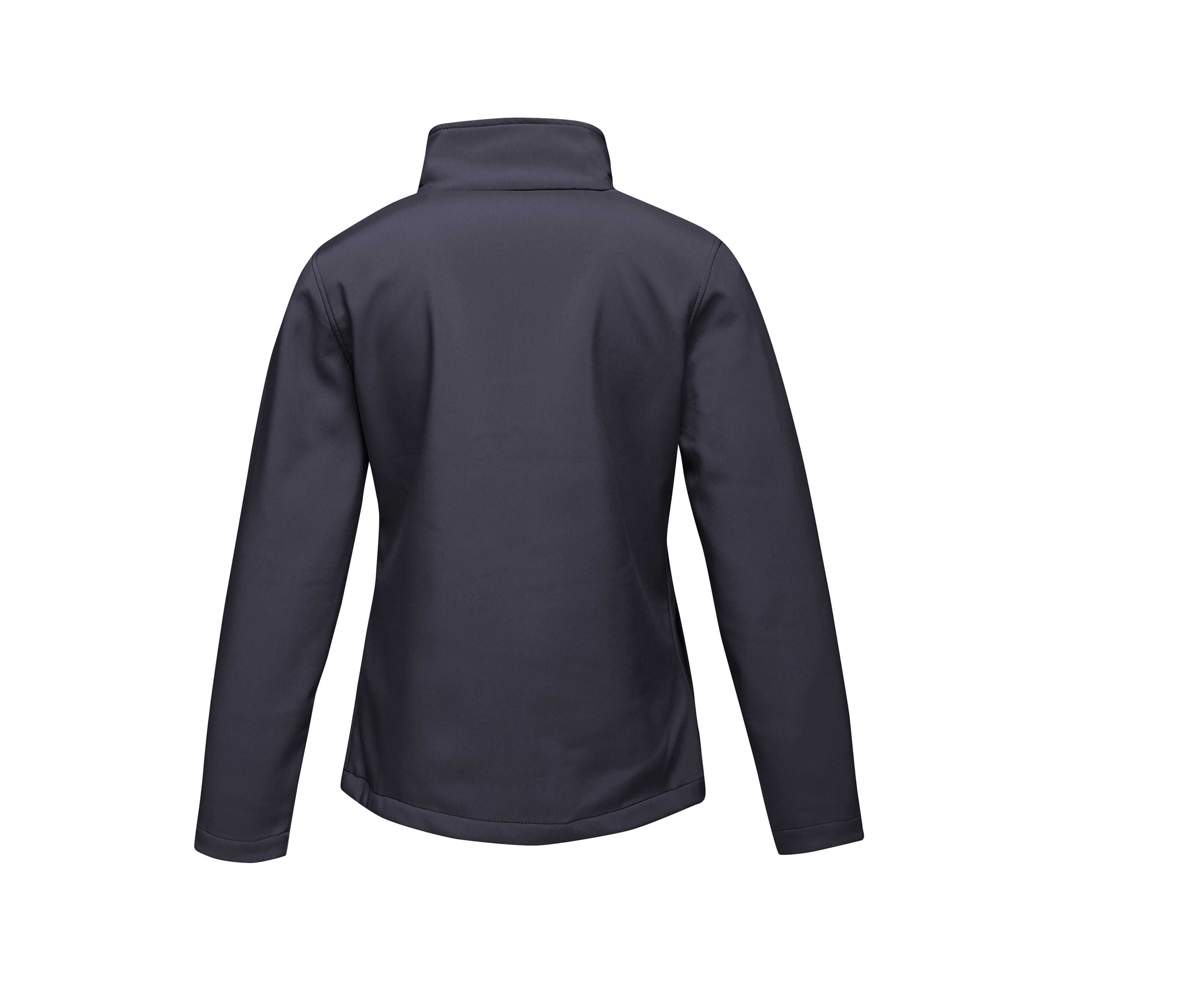 NAVY/FRENCH BLUE - arrière