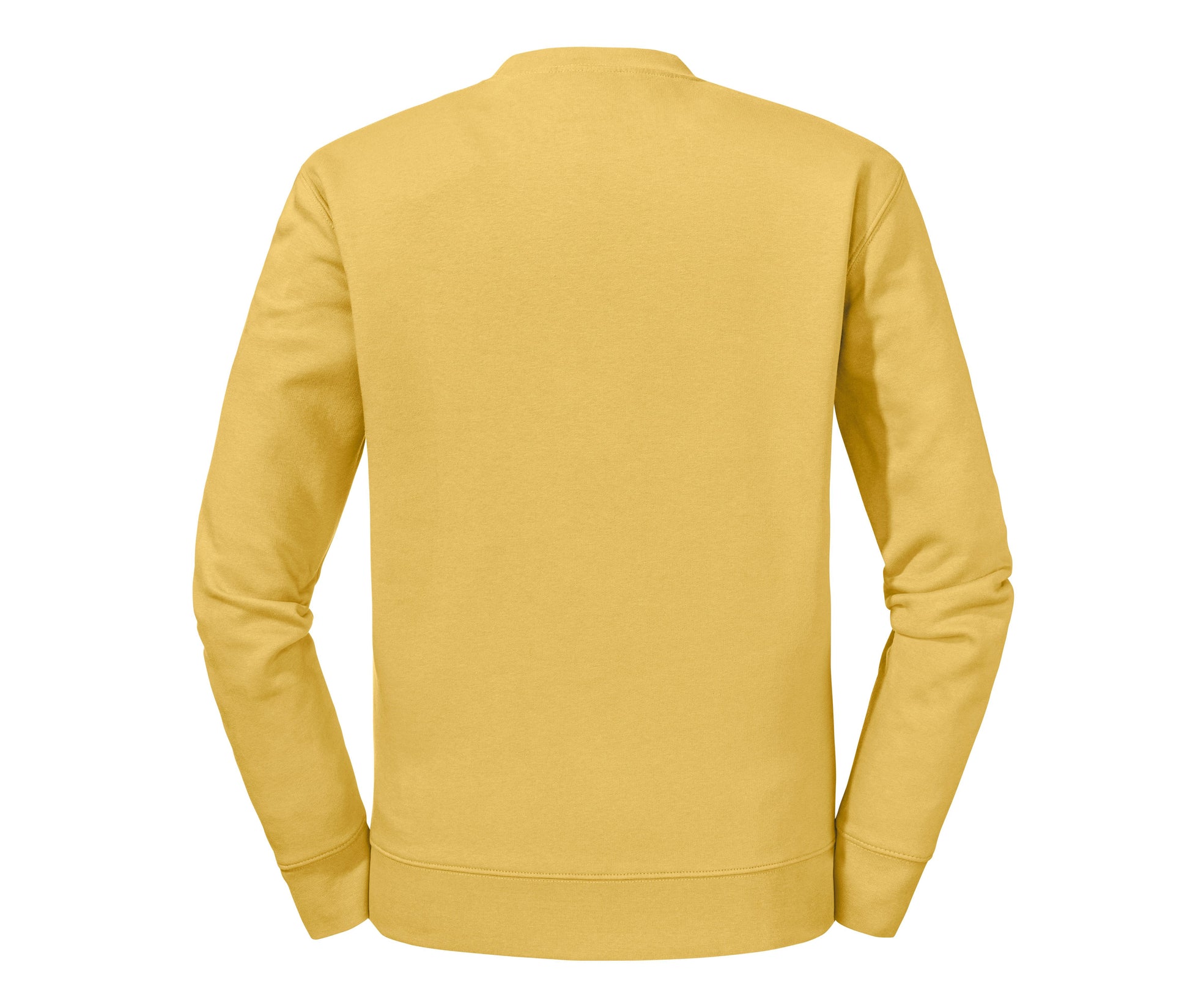MUSTARD YELLOW - arrière