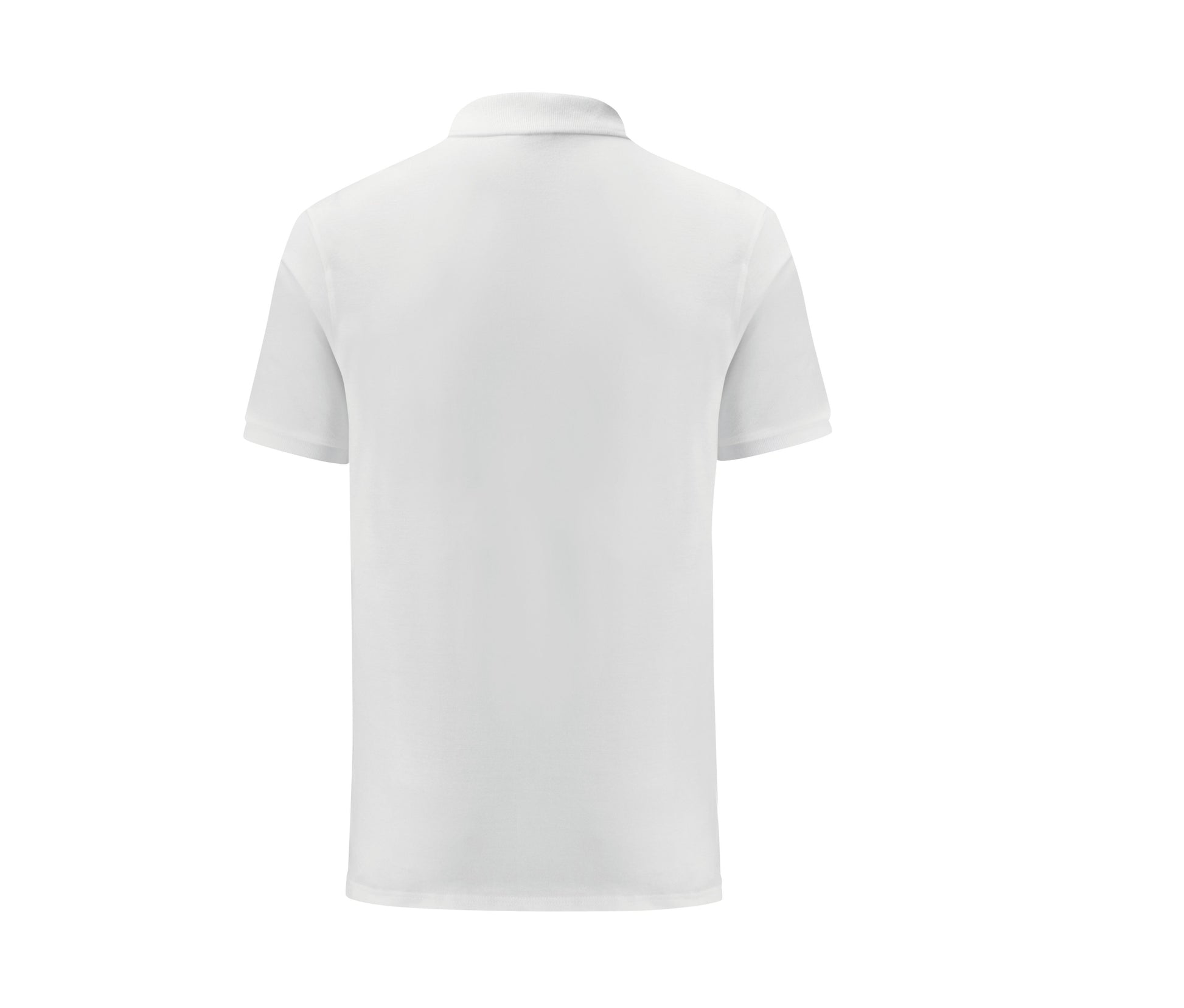 WHITE - arrière