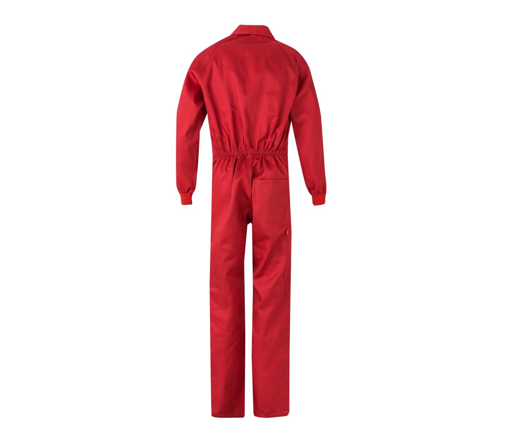 RED - arrière