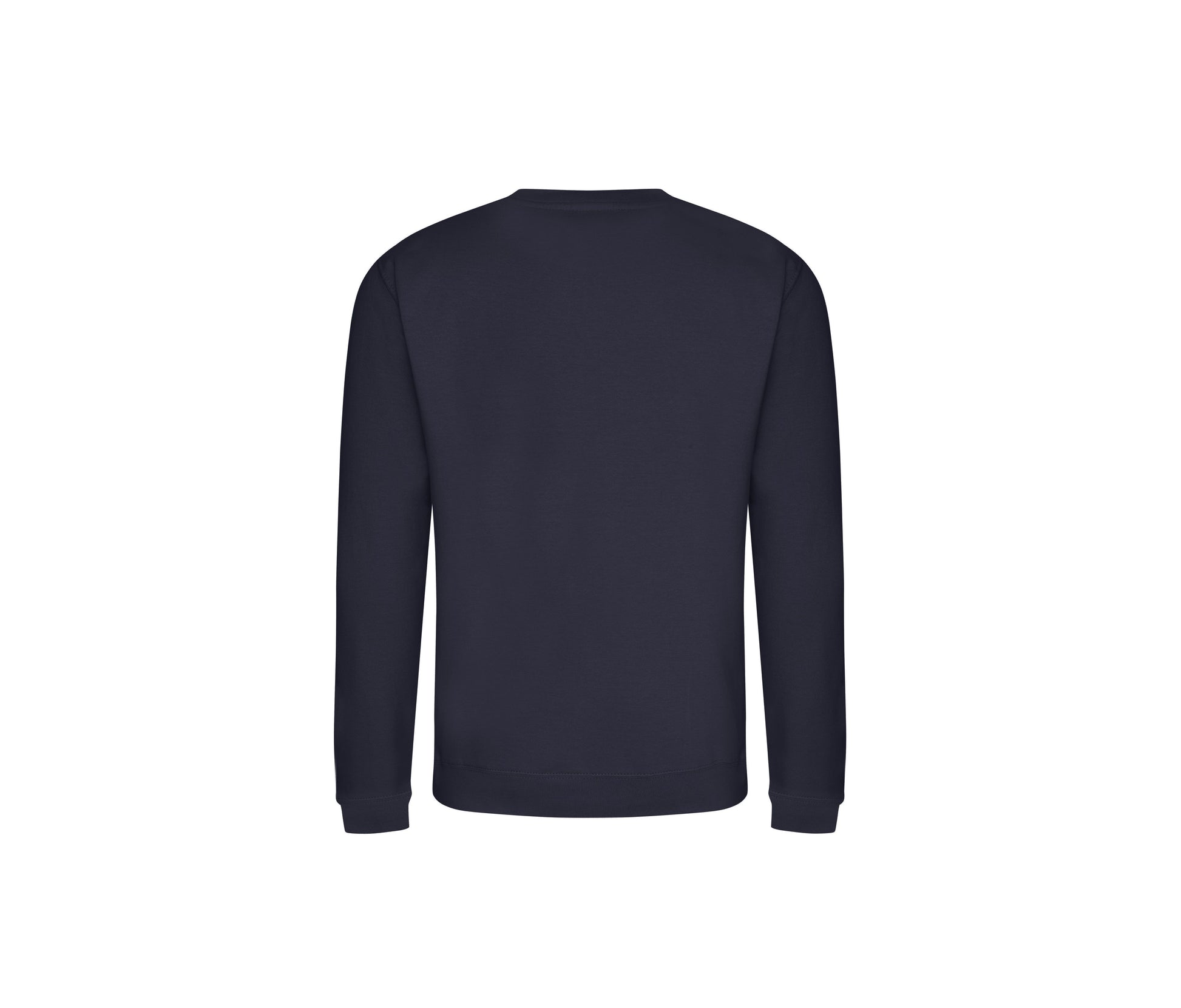 NEW FRENCH NAVY