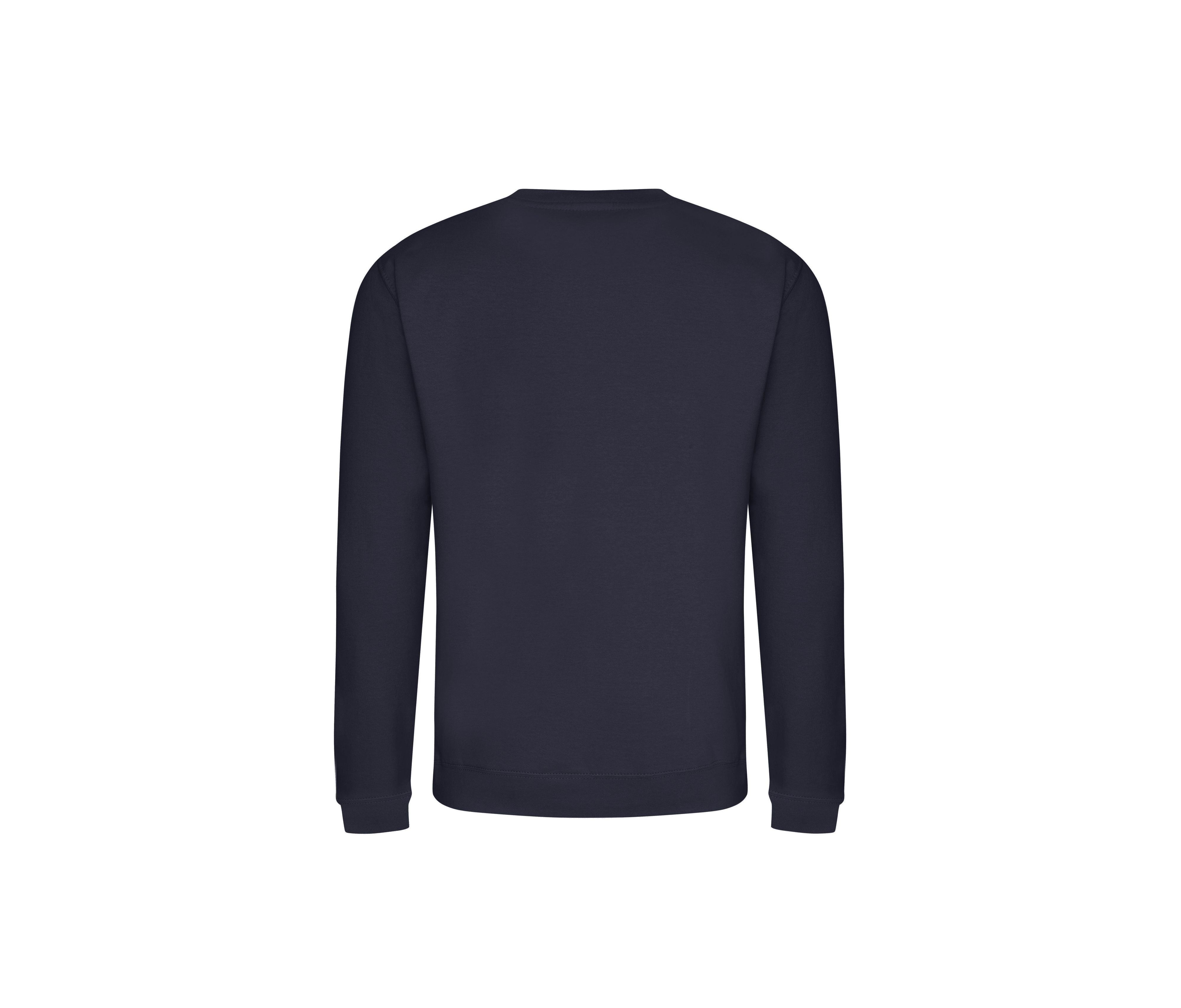 NEW FRENCH NAVY